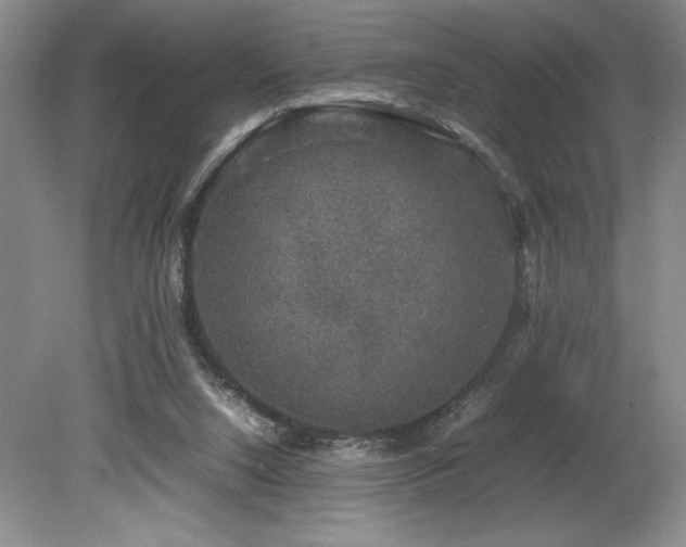 X0000078840064200611131159