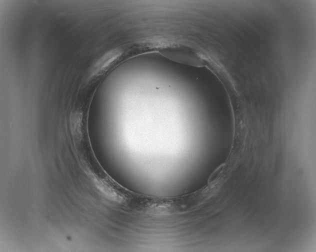 X0000078840066200611131159