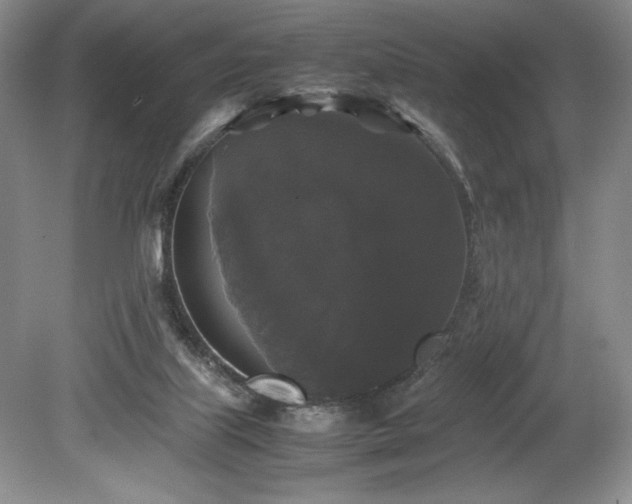 X0000078840067200611131159