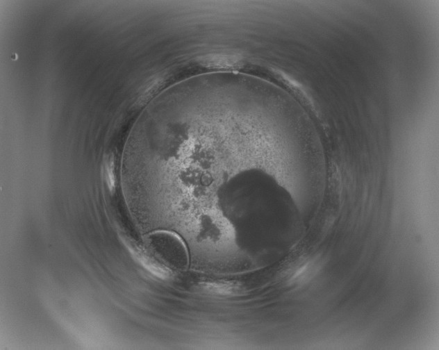 X0000078840069200611131159