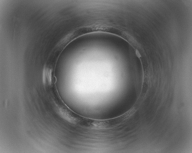 X0000078840070200611131159