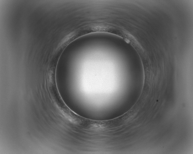 X0000078840071200611131159