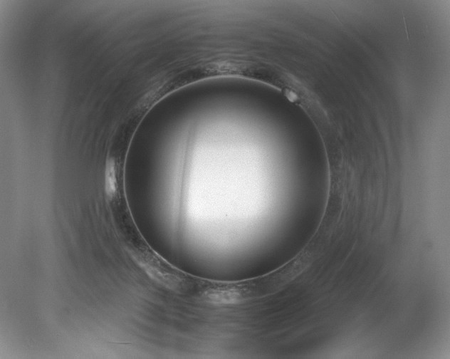 X0000078840075200611131159