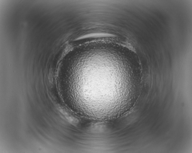 X0000078840078200611131159