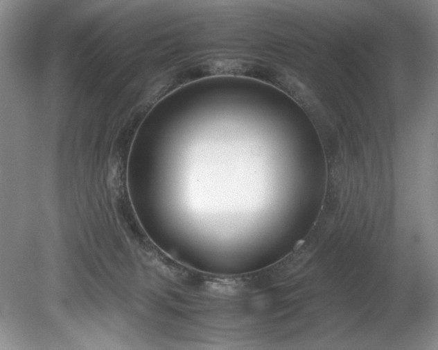 X0000078840079200611131159