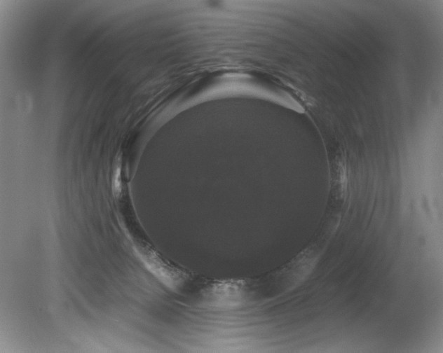 X0000078840080200611131159