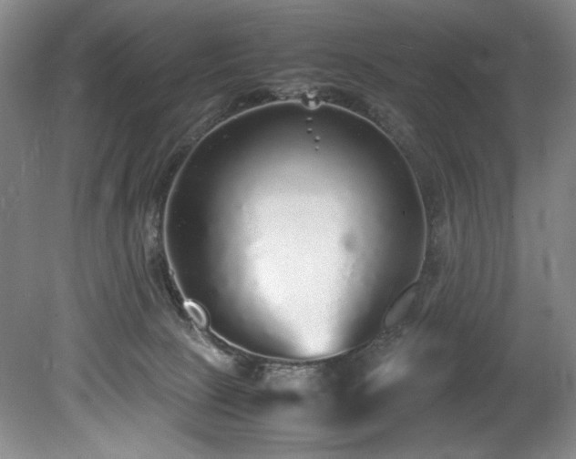 X0000078840081200611131200