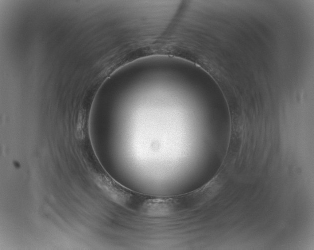 X0000078840082200611131200