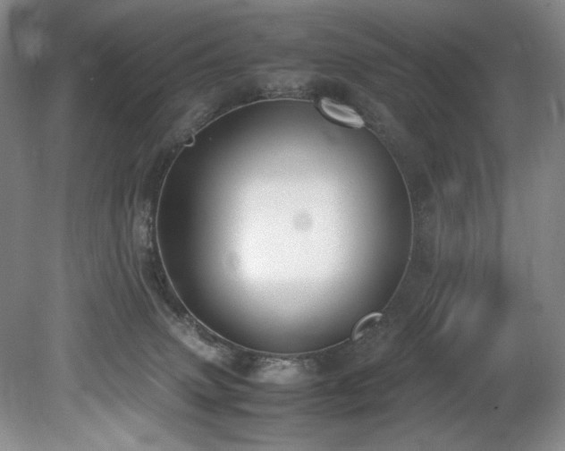 X0000078840083200611131200