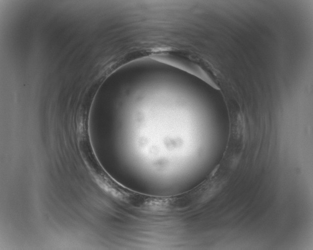 X0000078840084200611131200