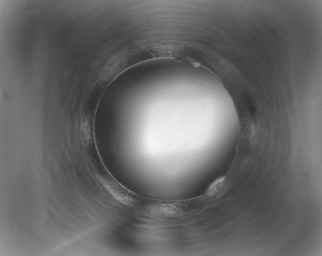 X0000078840086200611131200