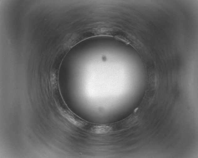 X0000078840087200611131200