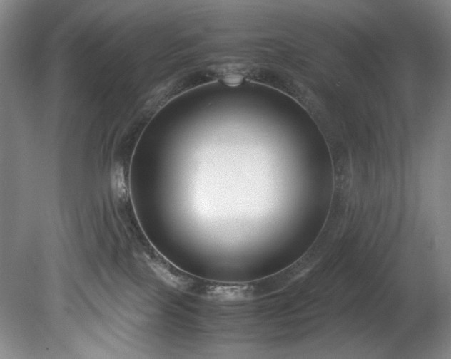 X0000078840089200611131200