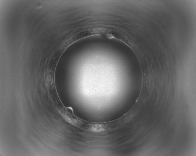 X0000078840091200611131200