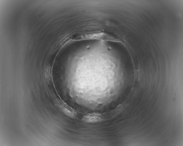 X0000078840093200611131200