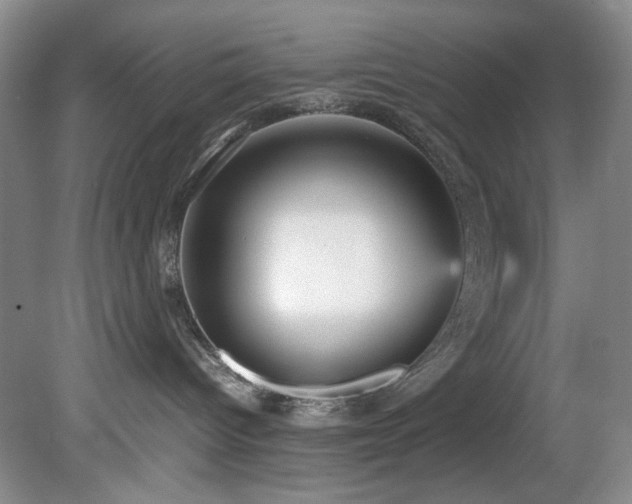 X0000078840096200611131200