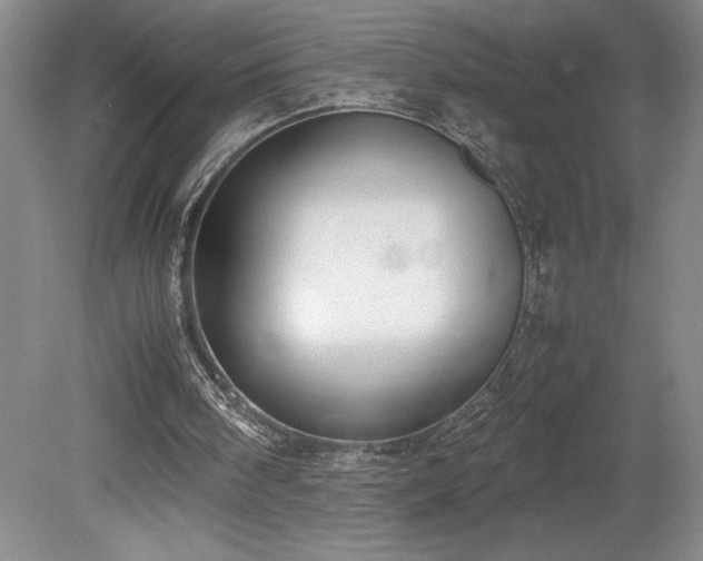 X0000078840098200611131159