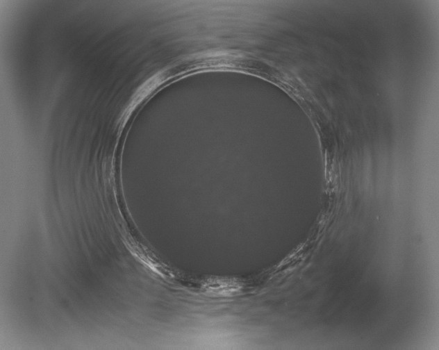 X0000078840099200611131159