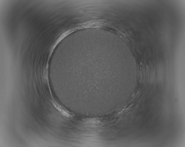 X0000078840100200611131159