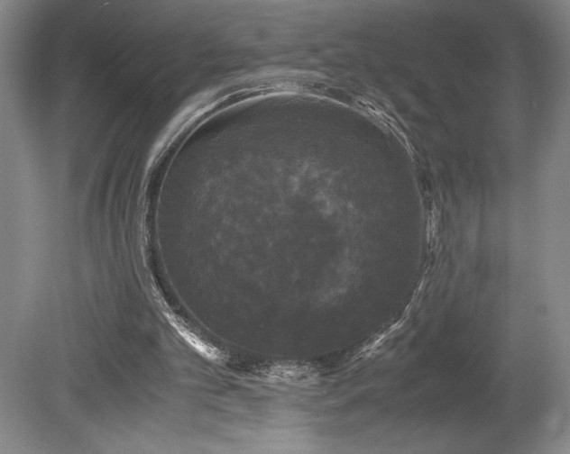 X0000078840101200611131159