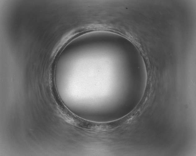 X0000078840103200611131159