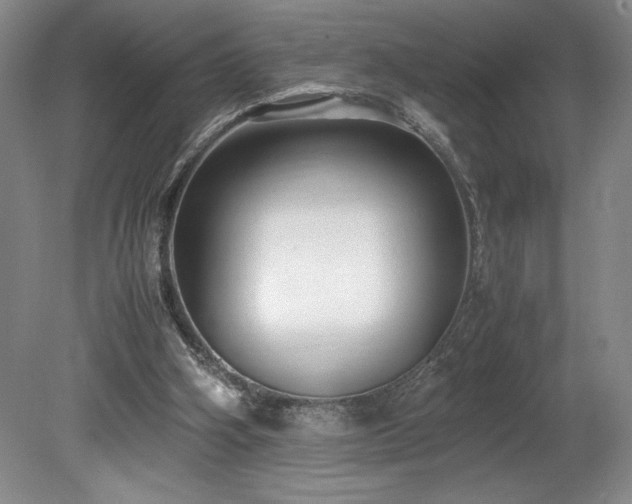 X0000078840106200611131159