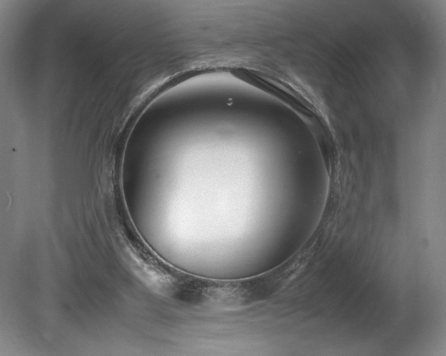 X0000078840107200611131159