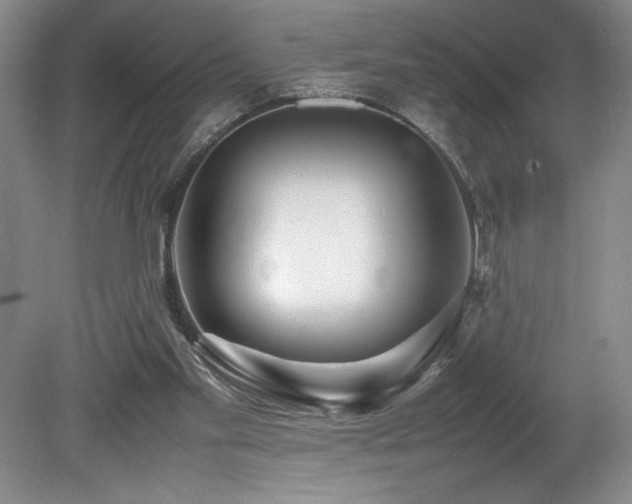 X0000078840109200611131159