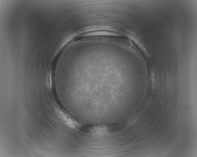 X0000078840110200611131159