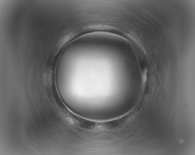 X0000078840111200611131159