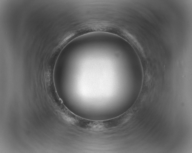 X0000078840113200611131159