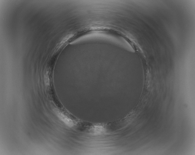 X0000078840114200611131159