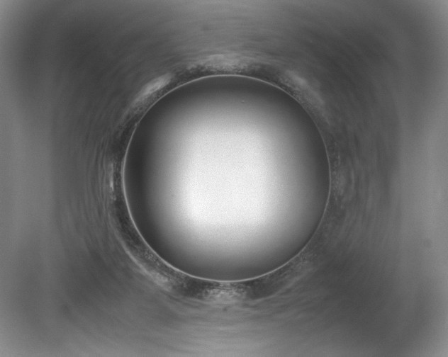 X0000078840115200611131159