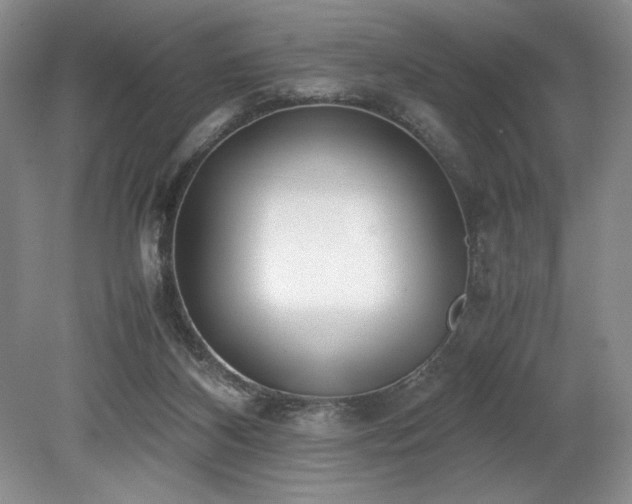 X0000078840116200611131159