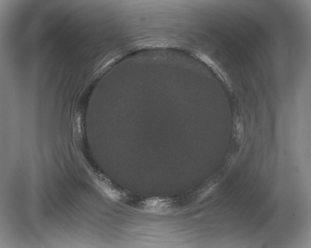 X0000078840117200611131159