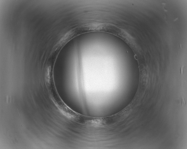 X0000078840118200611131159