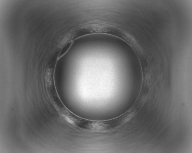 X0000078840121200611131159