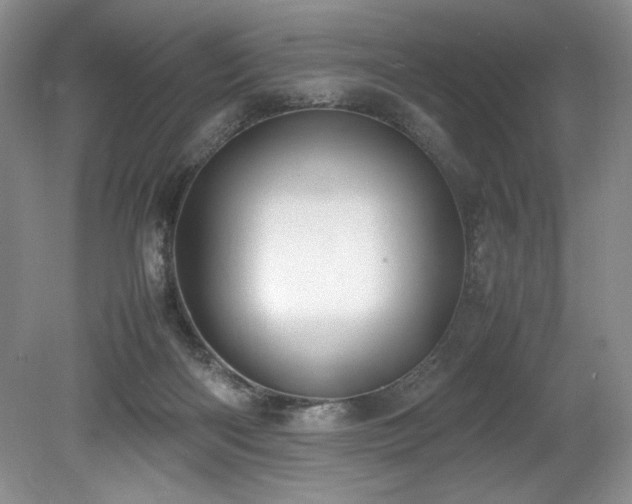 X0000078840122200611131159