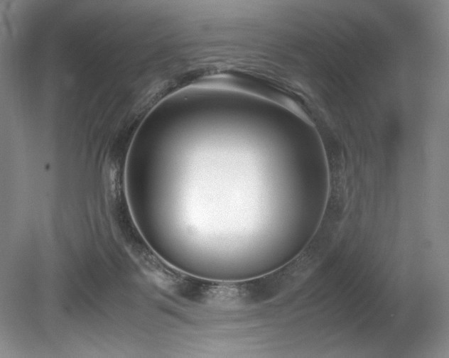 X0000078840123200611131159