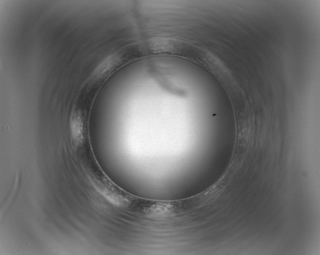 X0000078840124200611131159