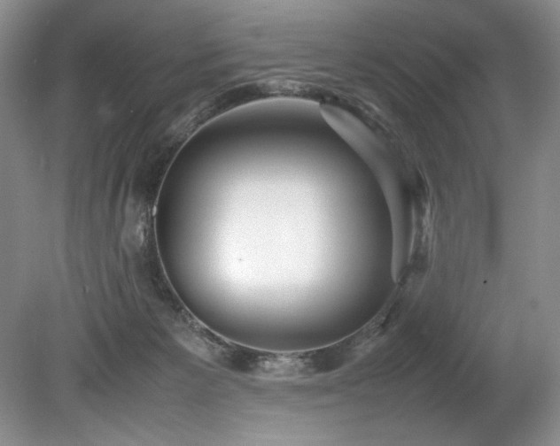 X0000078840125200611131158