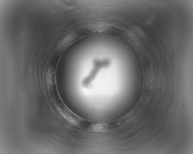 X0000078840126200611131158