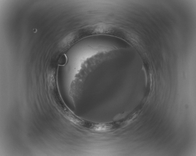 X0000078840127200611131158