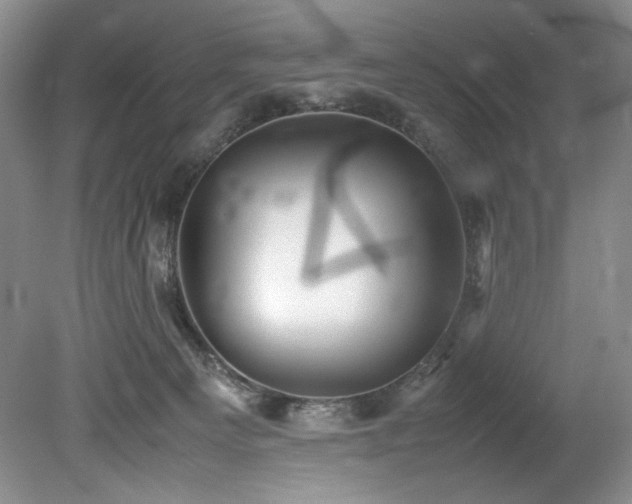 X0000078840129200611131158