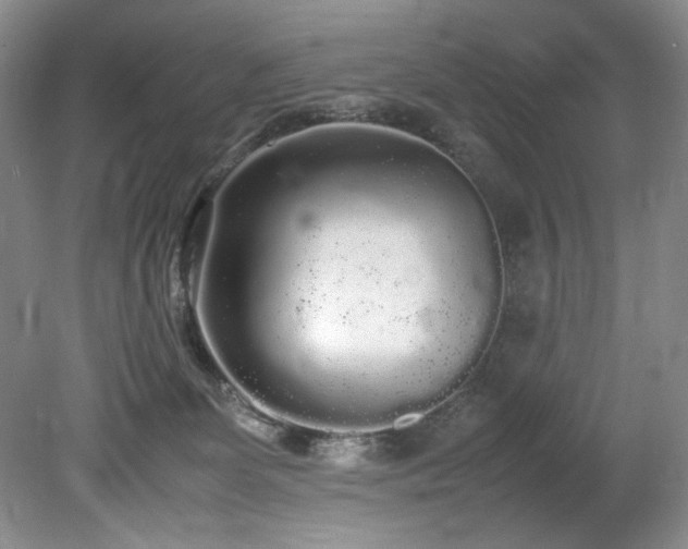 X0000078840131200611131158