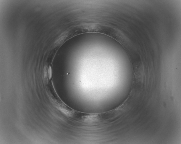 X0000078840132200611131158