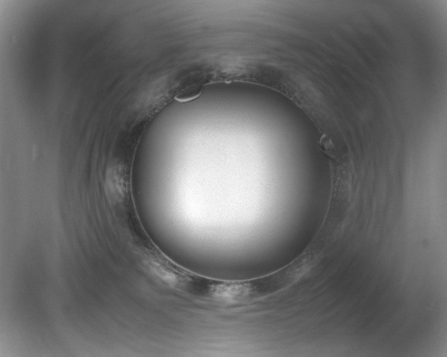 X0000078840135200611131158