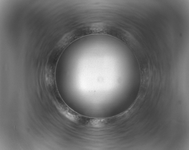 X0000078840136200611131158