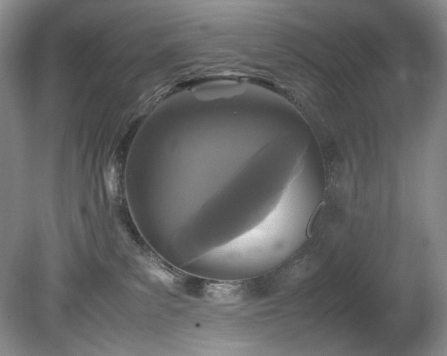 X0000078840139200611131158