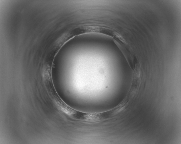 X0000078840141200611131158